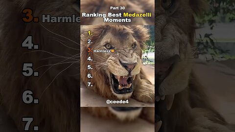 Best Medazelli #ranking #medazelli #tiktok