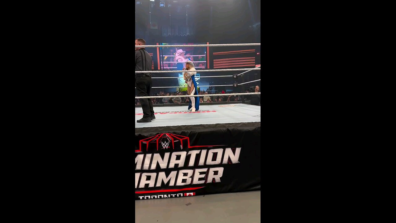 wwe biggest Player..