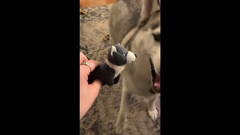 ✨Storybook Saturday✨ Selected Works of Jack London