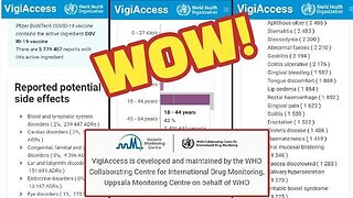 THE WHO'S VIGIACCESS SYSTEM PROVIDES ITS OWN DAMNING COVID VACCINE DATA