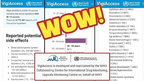 THE WHO'S VIGIACCESS SYSTEM PROVIDES ITS OWN DAMNING COVID VACCINE DATA