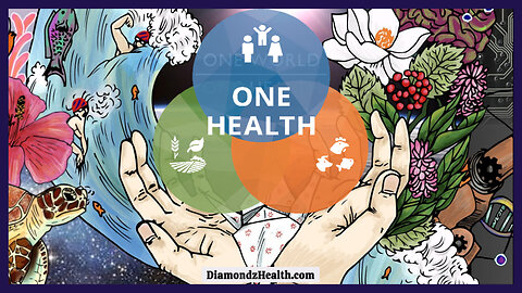 🌐 What Exactly is the United Nations 'One Health' Initiative and What Does it REALLY Mean?