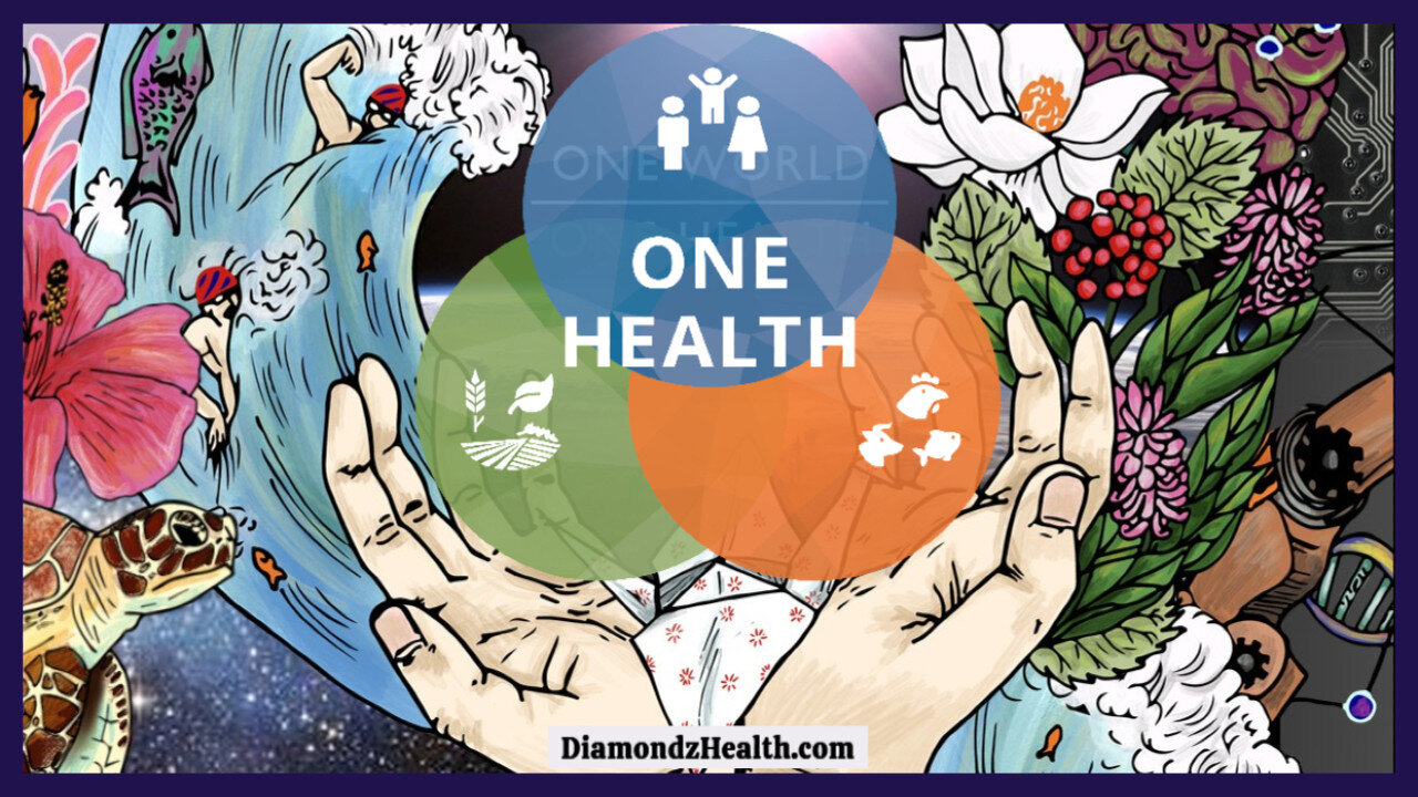 🌐 What Exactly is the United Nations 'One Health' Initiative and What Does it REALLY Mean?