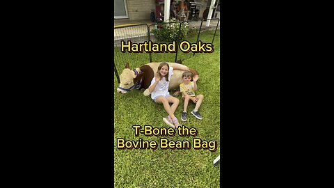 Meet T-Bone the Bovine Bean Bag from Hartland Oaks.
