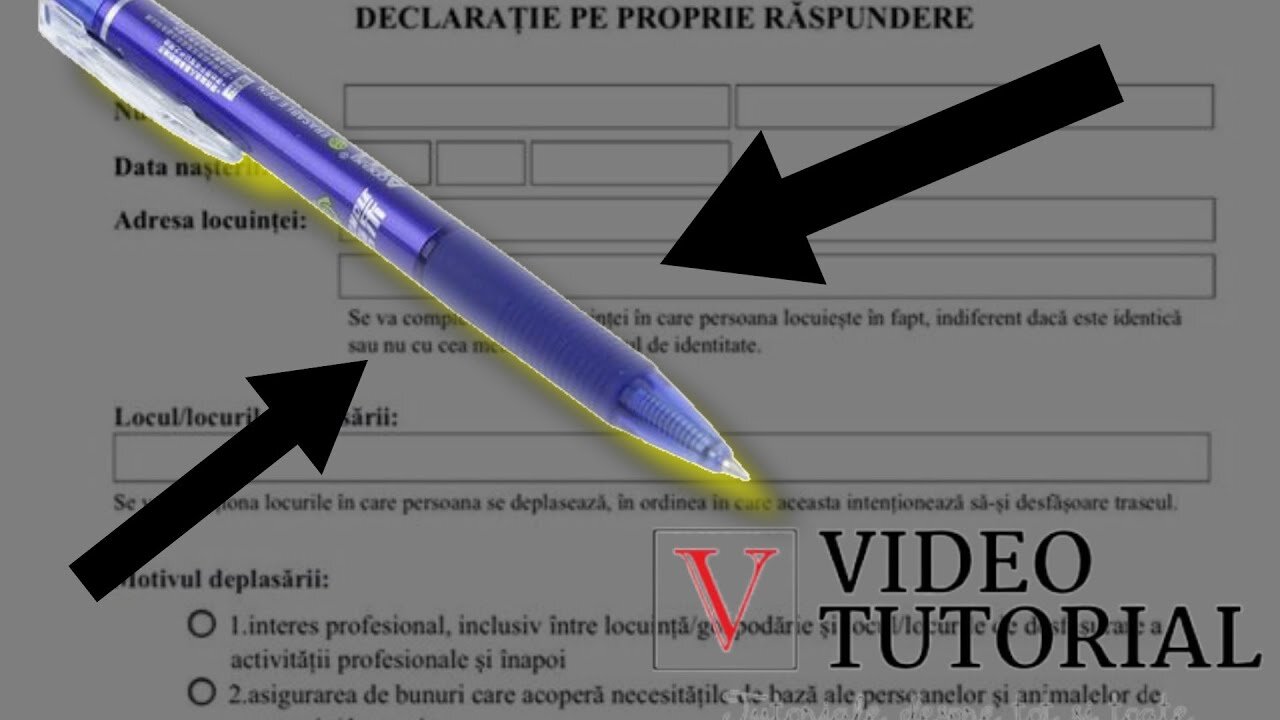 Declarație pe propria răspundere - varianta actualizata PDF completata online