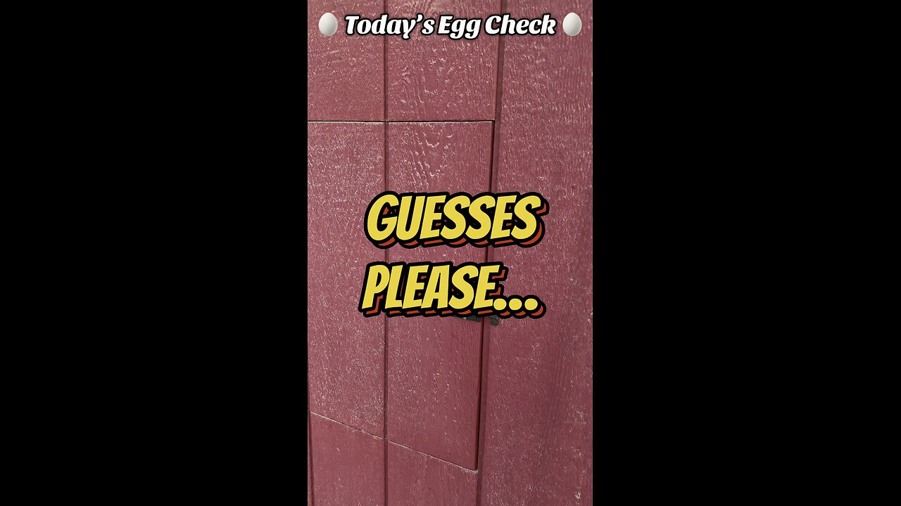 🥚 Today’s Egg Check! 🥚 #shorts