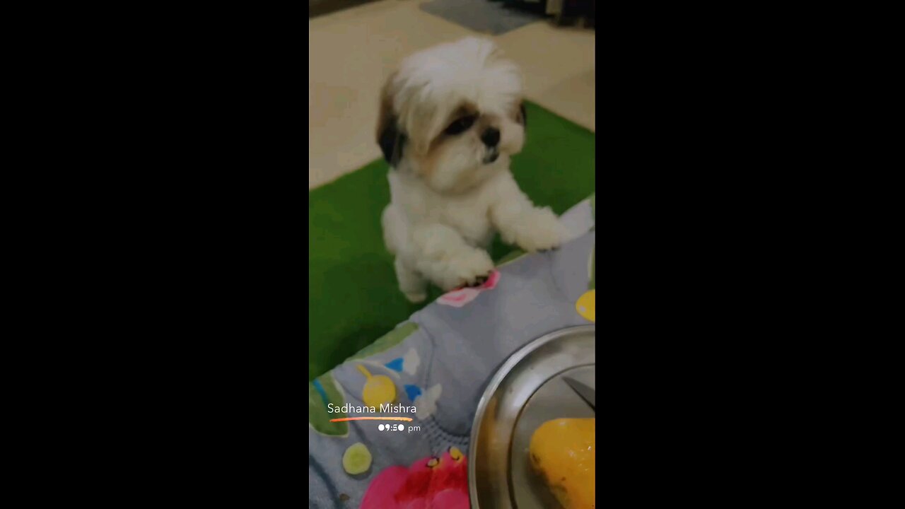 आम दे दो