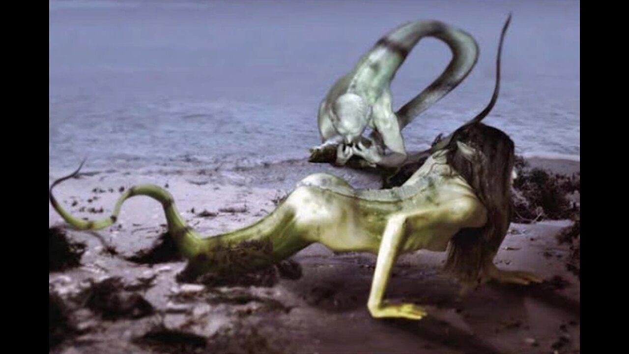 Mud Mermaids