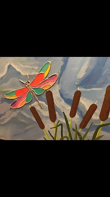 Silver Leaf Dragonfly timelapse