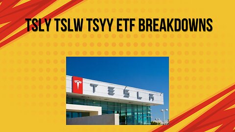 TSLY TSLW TSYY ETF full breakdowns