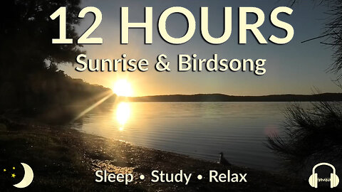 12 Hours of Australian Sunrise Over the Bay with Birdsong | Nature Sounds to Sleep, Study & Relax