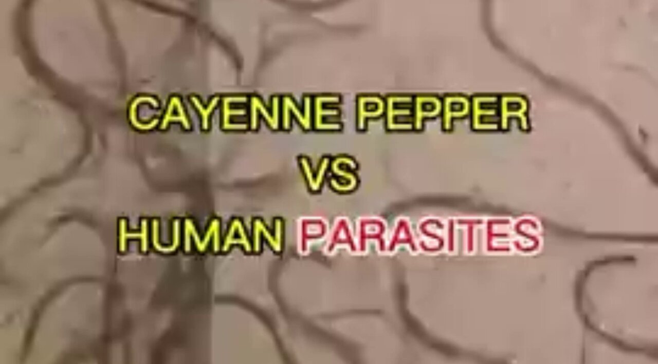 Cayenne Pepper Destroying Parasites (under the microscope)
