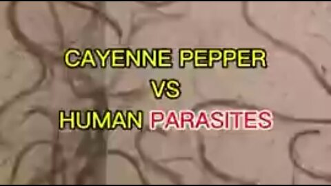 Cayenne Pepper Destroying Parasites (under the microscope)