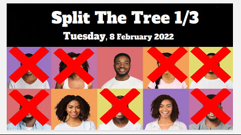 Split The Tree 1/3