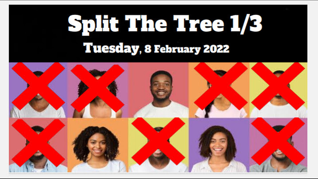 Split The Tree 1/3