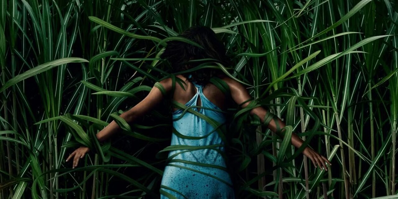 They entered a cursed field and ended up trapped there for months.