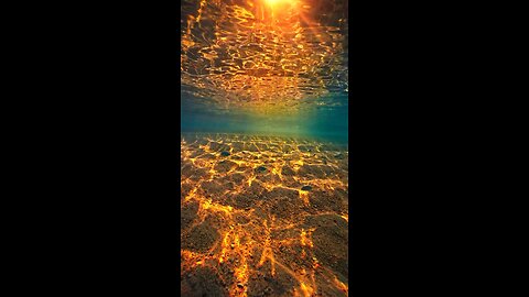 amazing view underwater