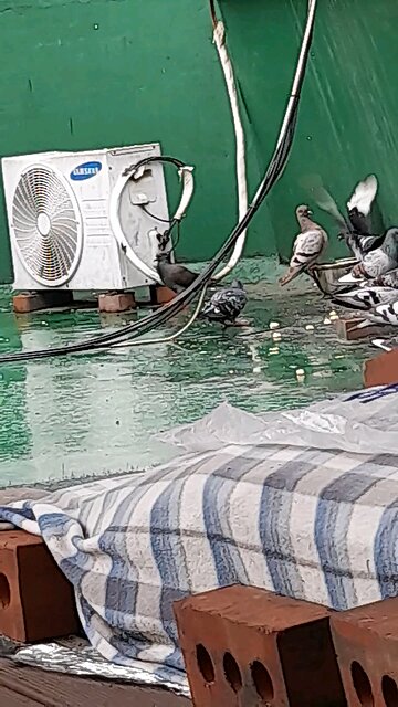 20250713. Directed by the LORD.