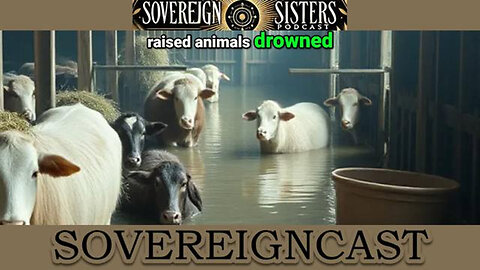 Millions of Drowned Farm Animals Were Turned Into Pet Food — With Zero Disclosure