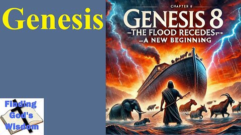 Genesis 8: A New Beginning