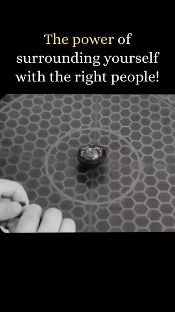 Surround Yourself with Wolves, Not Sheep 🐺🔥