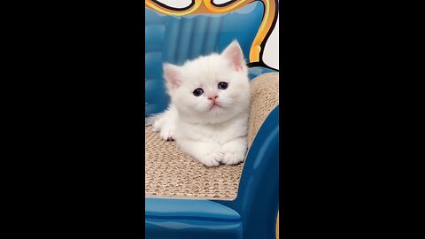 so funny 🤣😆