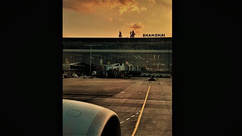 闵行区, 万源路599号