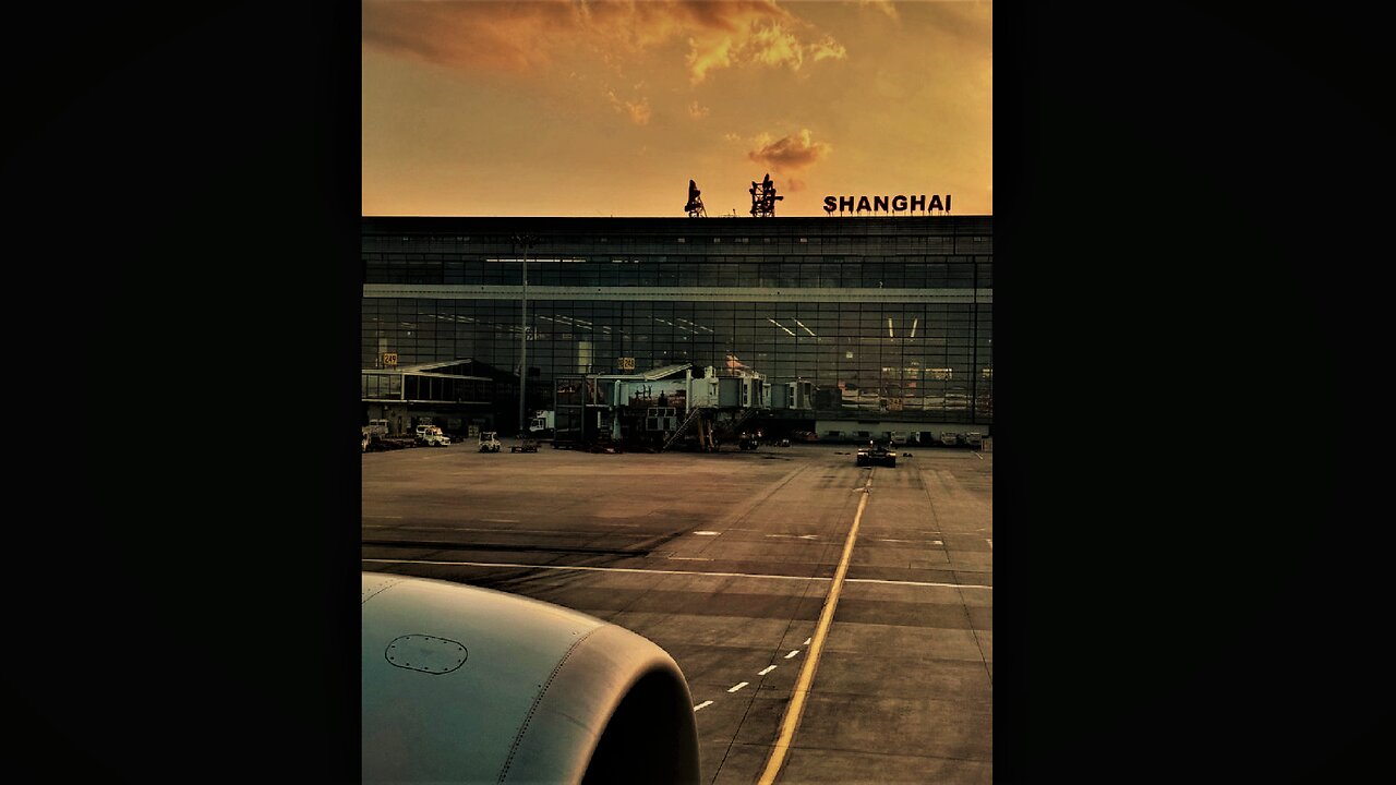 闵行区, 万源路599号