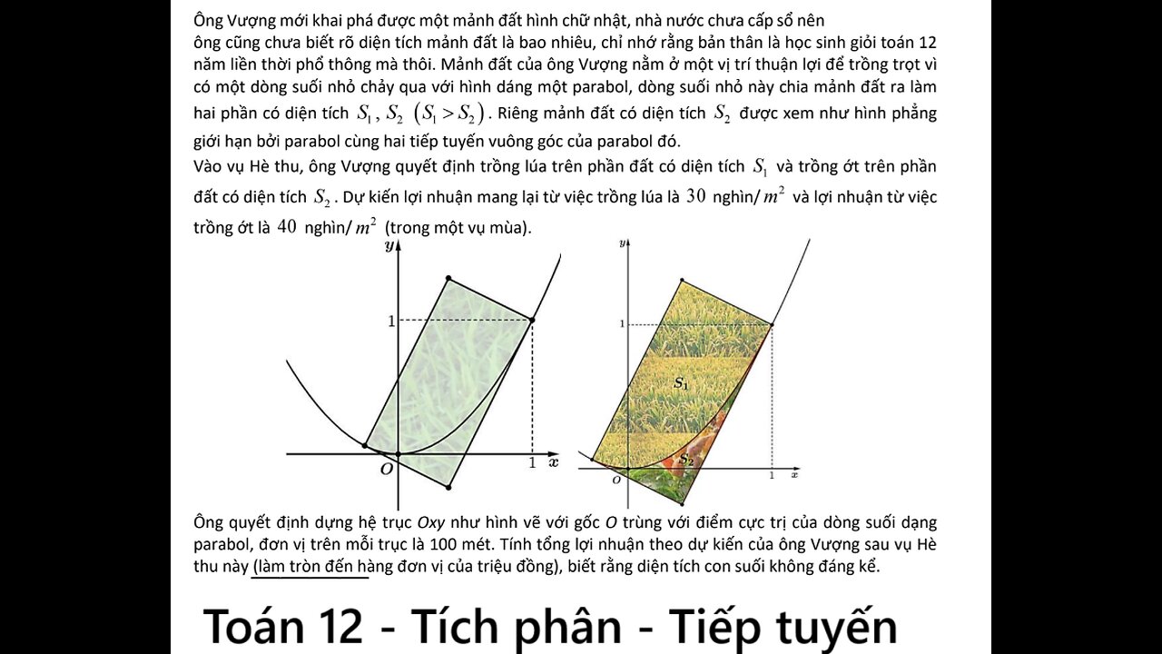 Toán 12: Ông Vượng mới khai phá được một mảnh đất hình chữ nhật, nhà nước chưa cấp sổ nên