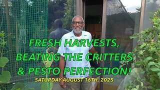 Fresh Harvests, Beating the Critters & Pesto Perfection!