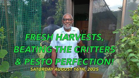 Fresh Harvests, Beating the Critters & Pesto Perfection!