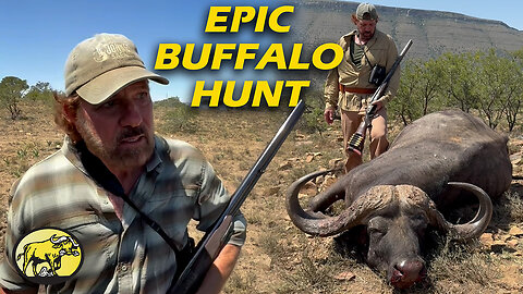 Tim's most epic Cape buffalo hunt