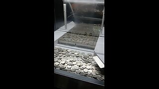 Coin Pusher LIVE STREAM
