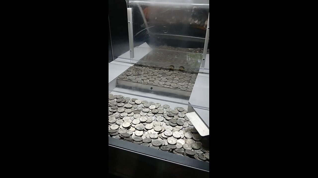 Coin Pusher LIVE STREAM