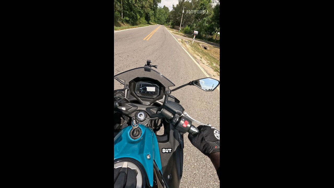 Almost Got Killed by a Spider... Then This Happened 😂