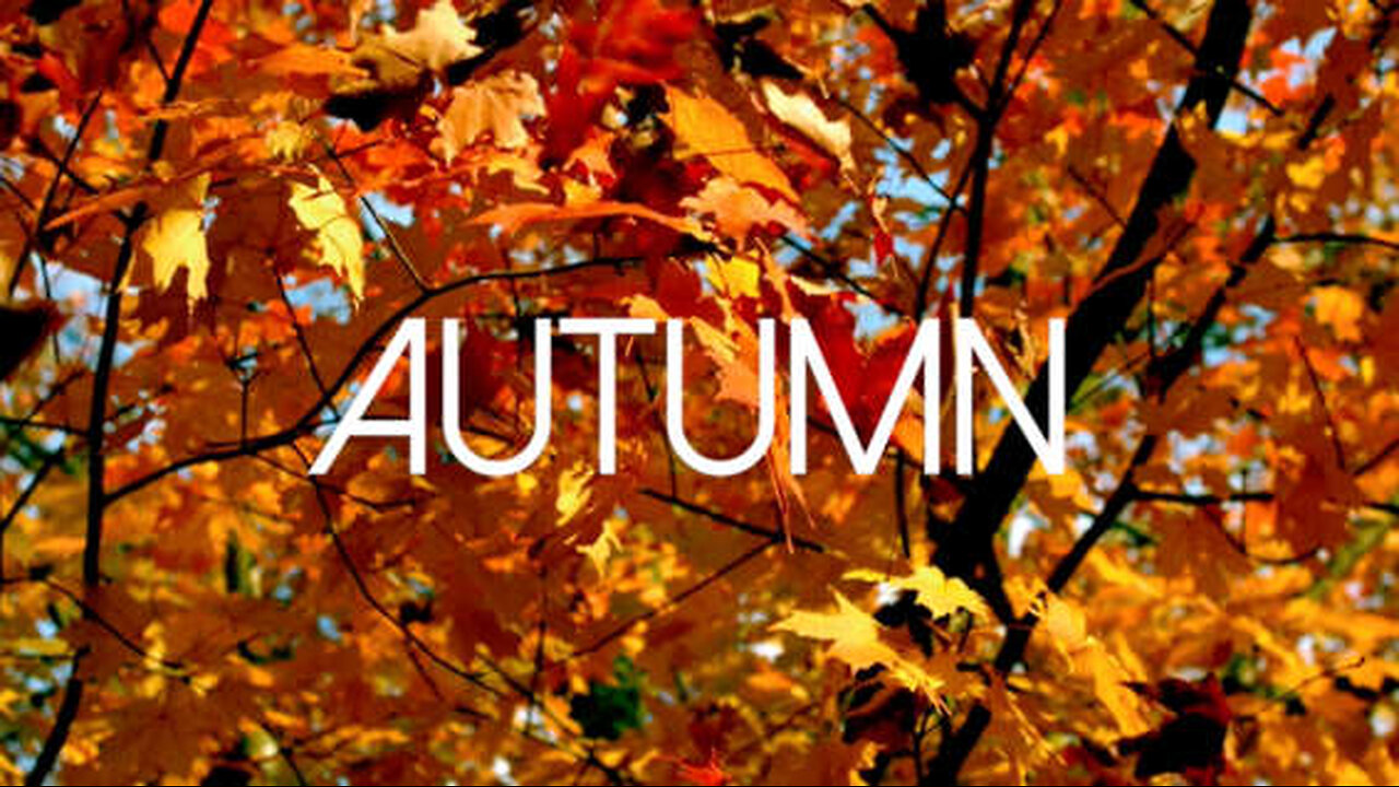 Autumn Explained | Season of Change