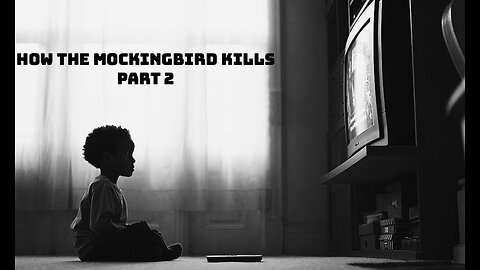 How The Mockingbird Kills Part 2 (Kalergi Plan & Anti-White Propaganda)