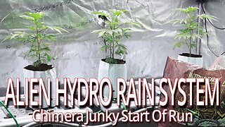 Chimera Junky Start Of Run In The Alien Hydro RAIN System