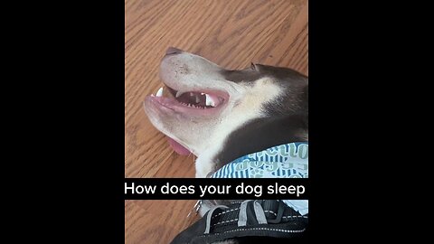 Sleepy timq