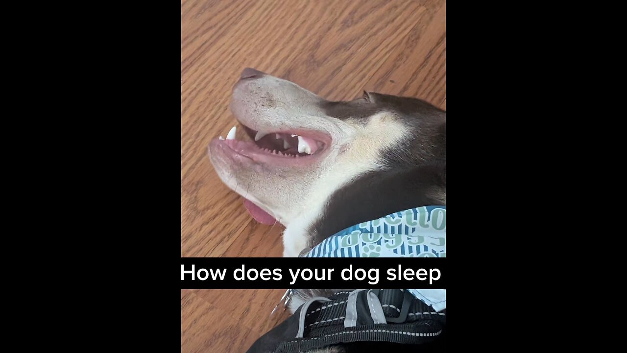 Sleepy timq