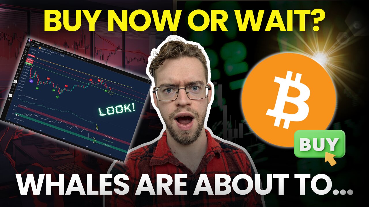 What Happens Next Is Up To The Bitcoin Whales...