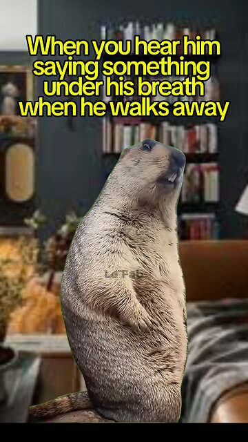 This is so funny 😂