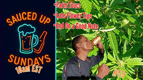 Monkey Biz Mondays: flower