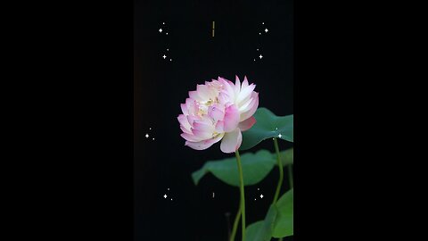 Surah Al Baqarah ayat 16-20 #islam #viralvideos #islamicreminders #prophetmuhammadsaw #hadeesenabvi