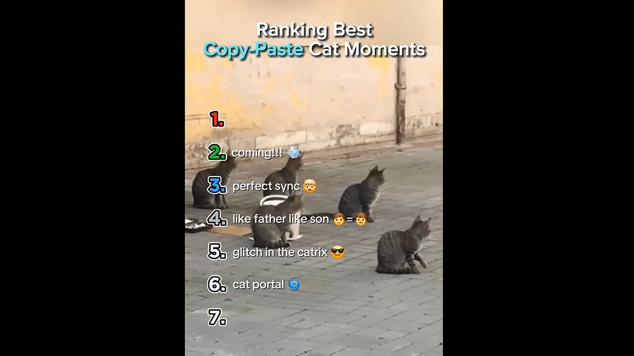 Cat Sync Level: Telepathy Activated 🧠✨🐾