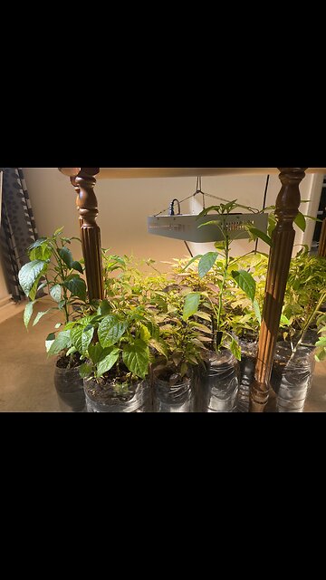 Just another day at the office UGS COMMON LAW CHURCH