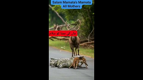 Mother care