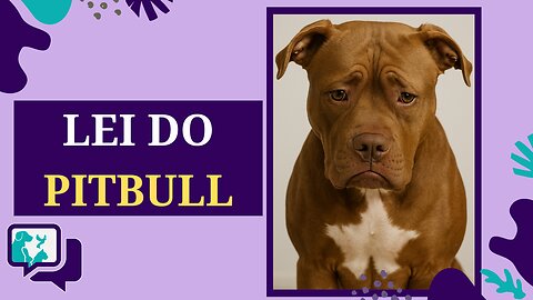 Lei do Pitbull: Santa Catarina proíbe pitbulls e raças similares em todo o estado