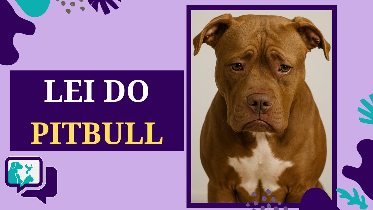 Lei do Pitbull: Santa Catarina proíbe pitbulls e raças similares em todo o estado
