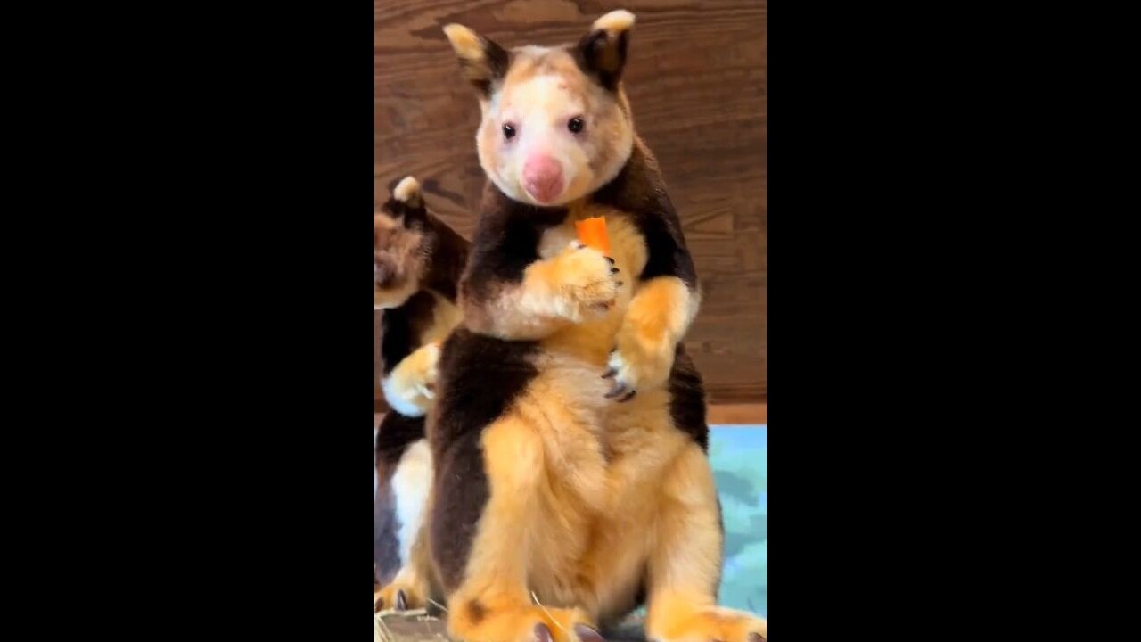 The Only Time Chewing With An Open Mouth Is Allowed